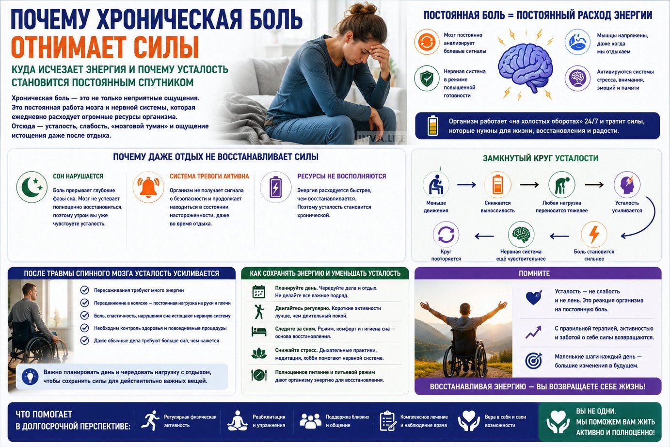 530cdc349a.jpg