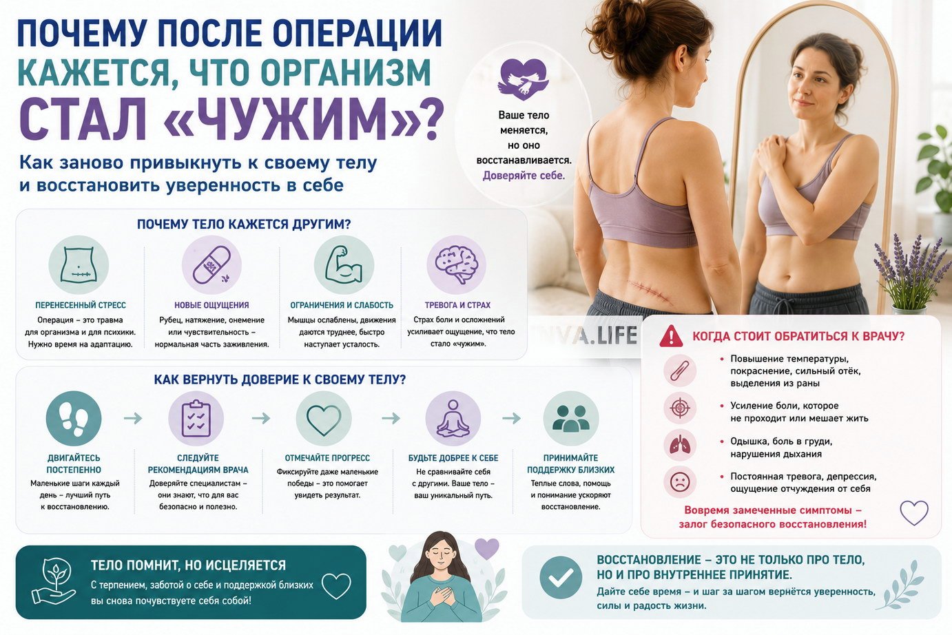 8cdc7e412d7.jpg