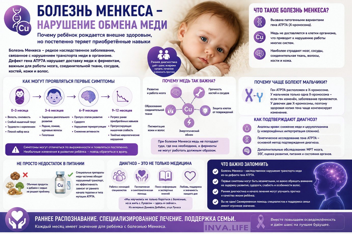 9345e0b96e.jpg