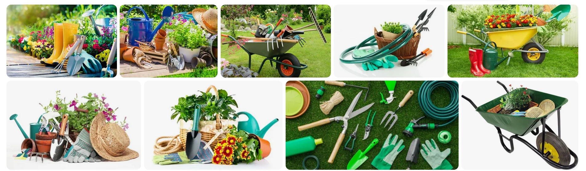 Clip2Net Menu_250307164250.jpeg