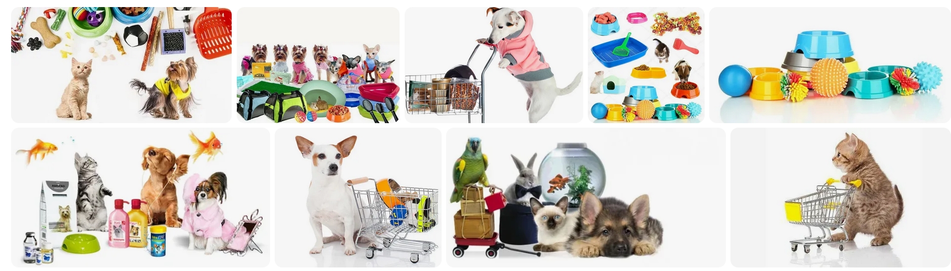 Clip2Net Menu_250307164901.jpeg