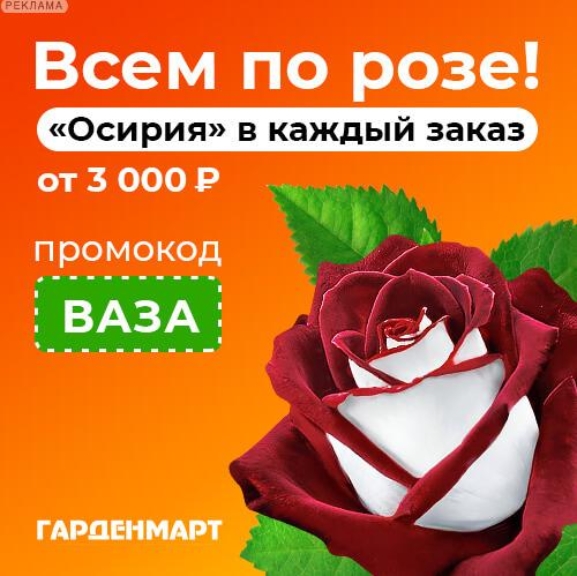 Clip2Net Menu_250807164949.jpeg